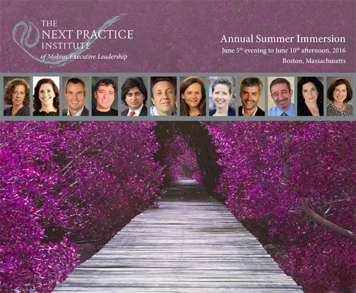 Cover for The Next Practice Institute's Annual Gathering 2016