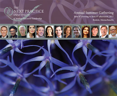 Cover for The Next Practice Institute's Annual Gathering 2017