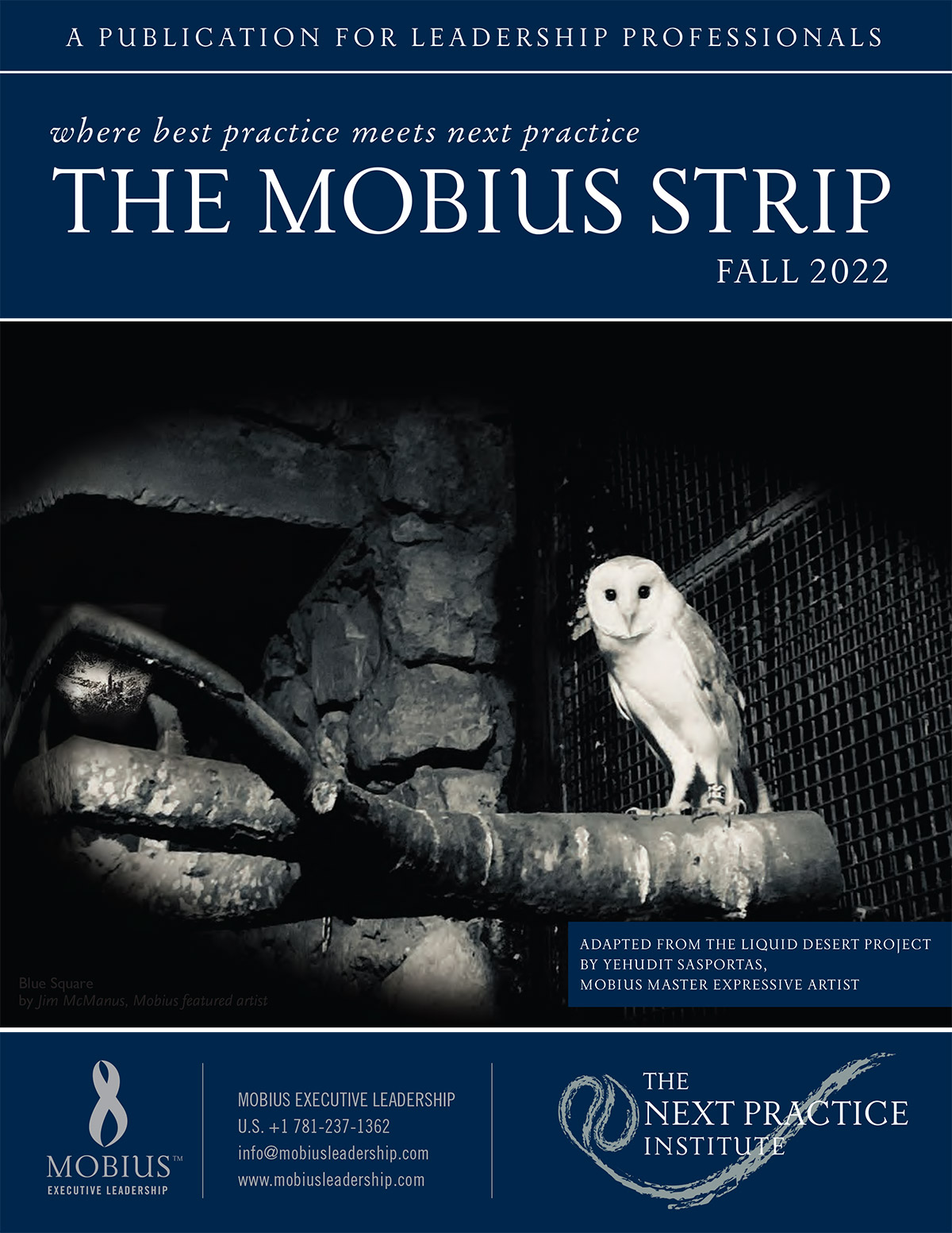 Cover for fall 2022 issue of The Mobius Strip