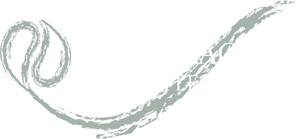 NPI logo