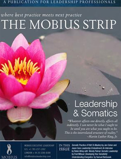 Cover for The Mobius Strip - Leadership & Somatics